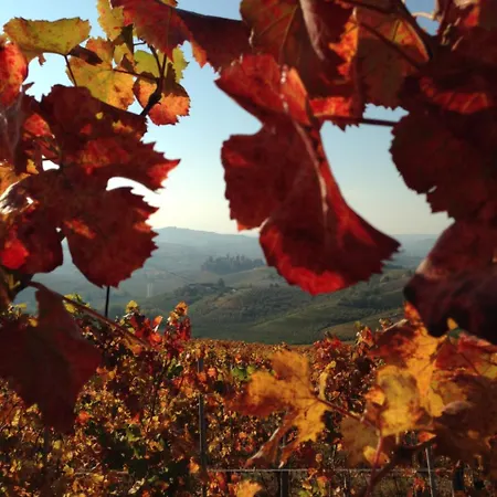 Ca 'd Langa Bed & Breakfast Treiso