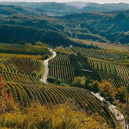 Ca 'd Langa Bed & Breakfast Treiso