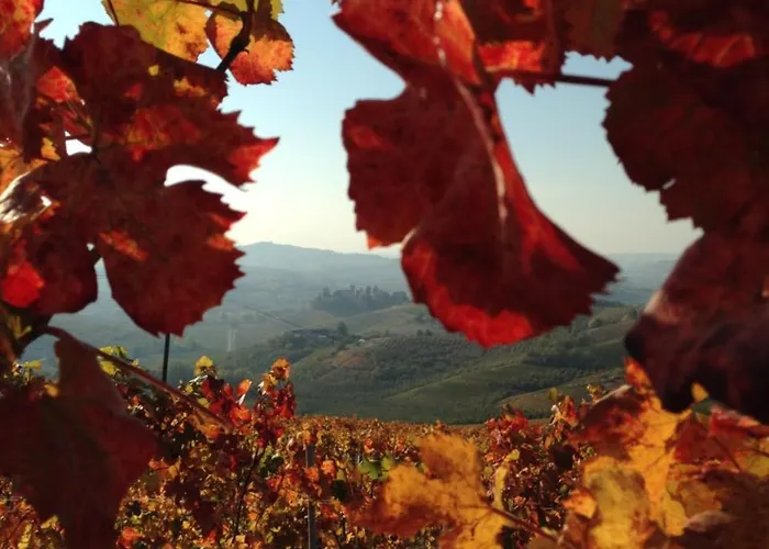 Ca 'd Langa Bed & Breakfast Treiso